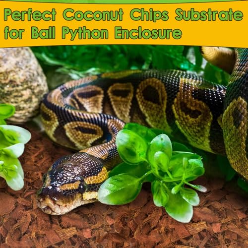 Halatool 10 LBS Coconut Husk Chips for Reptiles, 72QT Compressed Coco Chips Substrate for Snakes Tortoises Geckos Lizards Hermit Crab Ball Python - color: 10LB-1pack