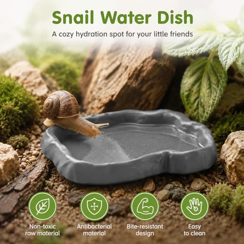 2 Pack Snail Food and Water Bowl, Pet Snail Feeder, Small Reptile Food Dish Bowl Calcium Dish for Land Snails Mini Lizard Gecko Bearded Dragon Chameleon and Hermit Crab (Cement Gray)