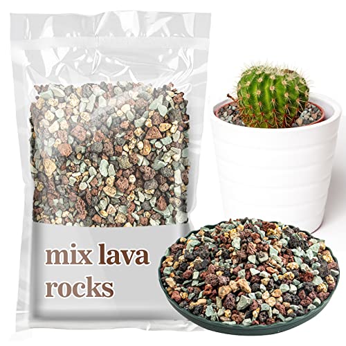 Sukh 1LB Horticultural Succulent Granule Soil - Succulent Rocks Bonsai Mix Lava Rocks Cactus Soil Potting Mix Amendment - size: 1LB