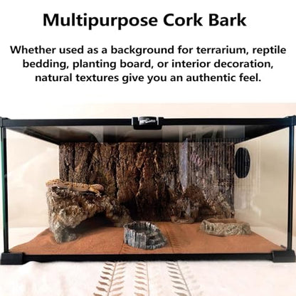 BNOSDM 4PCS Cork Bark Background,11.8" x 7.9" Natural Reptile Terrarium Backdrop, Lizard Climbing Wall Decor for Bearded Dragon Leopard Gecko Snake Chameleon