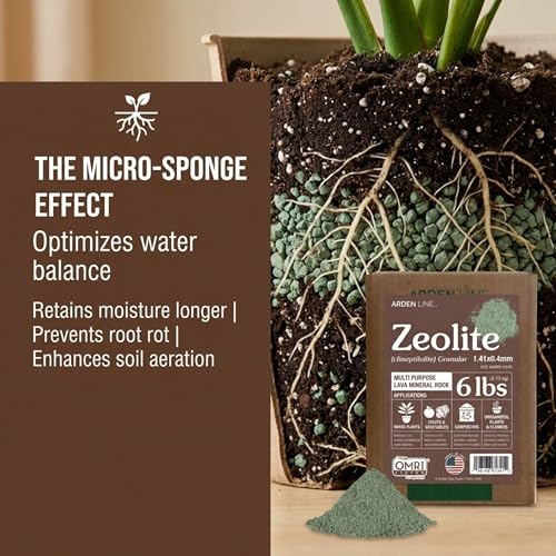 Zeolite Granular 6 lbs, Clinoptilolite 1.4-4 mm, Soil Amendment for Plants, Succulents and Bonsai, Improves Drainage and Odor Control, Aquarium Filter Media - style: Granular - 6 lbs