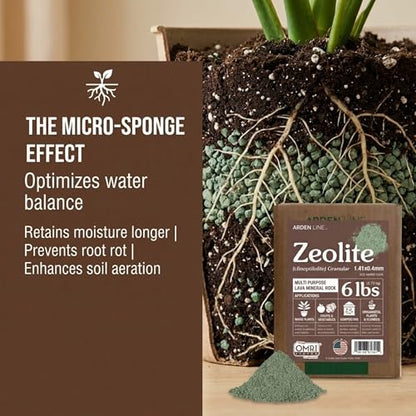 Zeolite Granular 6 lbs, Clinoptilolite 1.4-4 mm, Soil Amendment for Plants, Succulents and Bonsai, Improves Drainage and Odor Control, Aquarium Filter Media - style: Granular - 6 lbs