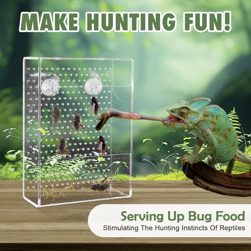 Chameleon Feeder Box with Suction Cups, Acrylic Feeding Bowl for Bearded Dragon, Wall-Mounted Insect Feeder for Lizard, Iguana, Gecko, Frog - color: Clear Feeder Box