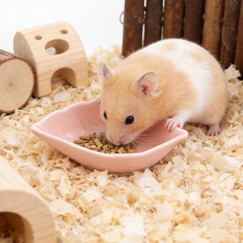Small Ceramic Bowls, Leaf-Shaped Hamster Food and Water Bowl for Hamsters Guinea Pigs Reptile Hermit Crab and Birds, Easy to Clean & Anti-Bite (Pink) - color: Pink