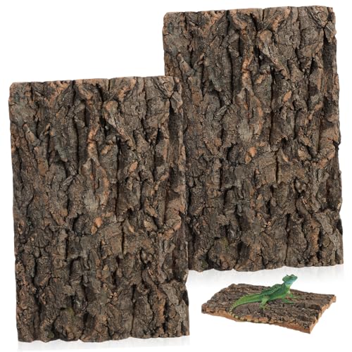 Abaodam 2 Pcs Natural Cork Bark Reptile Decor for Fish Tank Landscaping Climbing Background for Bearded Dragon Gecko and Aquarium Terrarium Safe and Sturdy Micro Landscape Branches