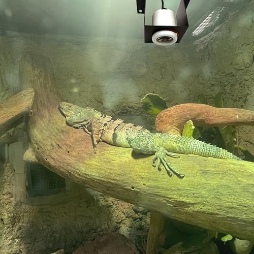 2-Pack Reptile Ceramic Heat Lamp Holders, E26 Socket for Lizards, Tortoises, Amphibians, Terrariums, 200W Max, Bulbs Not Included