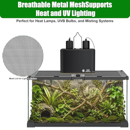 Reptile Terrariums Mini Glass Tank 12" x 8" x 6" Habitat, Top-Opening Mesh Lid with Latch, 360° Clear View, Ventilated Enclosure for Jumping Spiders, Tarantulas, Froglets & Isopods - size: 12" x 8" x 6"