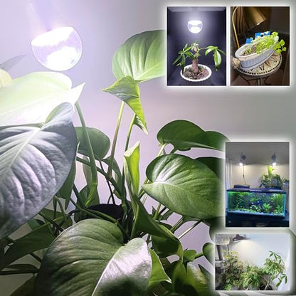 Candelabra LED Plant Grow Light Bulbs E12 Indoor Plants Full Spectrum,Small Base LED Sun Light Bulbs Plant Growing 100W Equivalent with Balanced Spectrum 5000K Red Blue for Seeds Greens Flower,1Pcs - size: E12