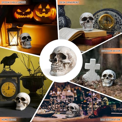 Skull Decor, Resin Realistic Skeleton Head Statue for Halloween, Fake Human Bone Skull Model for Halloween Decoration, Home, Party, Table, Bookshelf
