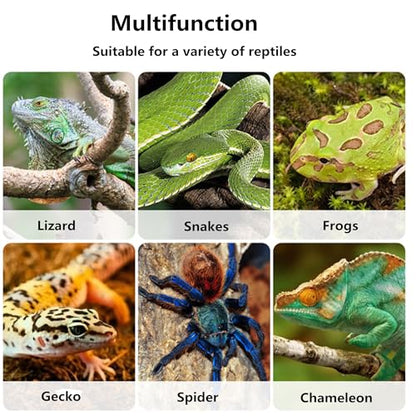 Bearded Dragon Frog Lizard Hammocks, Reptile Hammock with Suction Cups & Tie Straps, Hanging Swing Cradle for Chameleon, Lizards, Geckos, Snakes, Lguana, Reptile & Amphibian Habitat Décor - size: Small