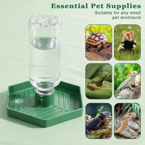 Reptile Water Dispenser, Tortoise Water Dish Bearded Dragon Water-Bowl | Tortoise Habitat Accessories Reptile Terrarium Automatic Water-Feeder-Dispenser for Reptiles Amphibians Turtle Chameleon (XL)