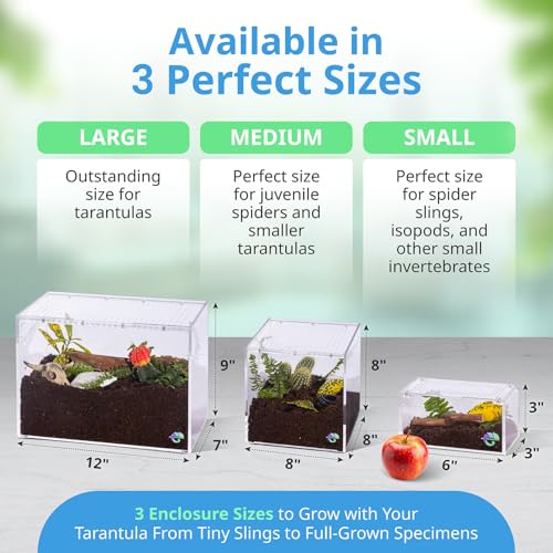 EctoTherm Acrylic Tarantula Enclosure - Versatile Terrarium for Terrestrial Tarantula, Scorpion, Isopod, Jumping Spider, Millipede, Snail, Small Reptile & Insect Habitat Kit