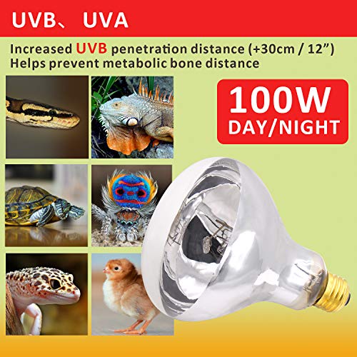 Aiicioo UVB Bulbs UVB Light Heat Bulb for Reptiles and Reptile Heat Pad with Thermostat 16W Bearded Dragon Tank Hermit Crab Tortoise Habitat Accessories
