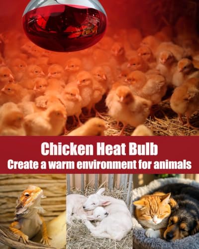 250W R40 Red Heat Lamp Bulbs, 8000 Hours Rated, Infrared Flood Light, Brooder Heating Lamp for Chickens, Reptiles, Pets, Bathroom, E26 Base - 8 Pack - color: Red, size: 8 Pack