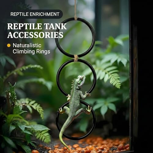 2PCS Snake Climbing Rings for Ball Python - Enrichment Toys for Corn Snake - Reptiletank Cage Decor Habitat Accessories | Terrarium, Bearded Dragon, Chameleon, Iguana, Gecko, Lizard, Parrot