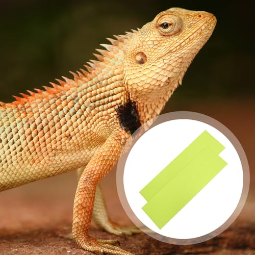 2pcs Reptile Carpet Terrarium Liner Mat Waterproof and Oil-Resistant Floor Bedding for 40-45 Gallon Tanks, Cuttable and Washable Green Mat for Bearded Dragon, Gecko, and Lizard