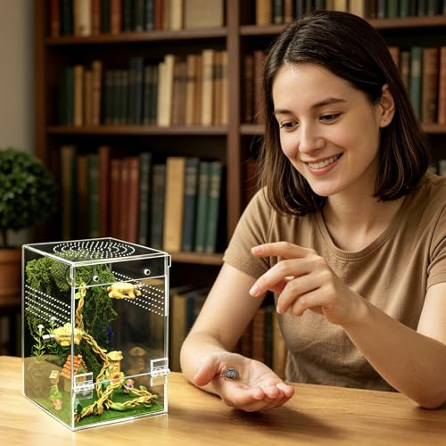 Jumping Spider Enclosure Starter Kit,Escape Proof Forest Terrarium | Praying Mantis Terrariums,Transparent Acrylic Complete Bug Habitat,All In One Arboreal Tarantula Cribs Cage,Insect Container - size: Large