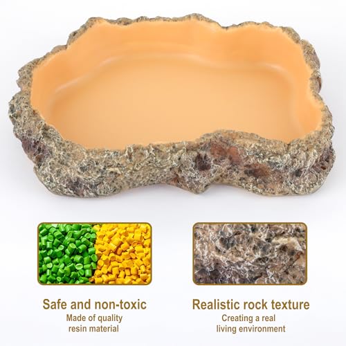Reptile Food Dish, Terrarium Water Bowl, Feeding Bowl for Reptile Amphibian Pets (Large) - size: Medium