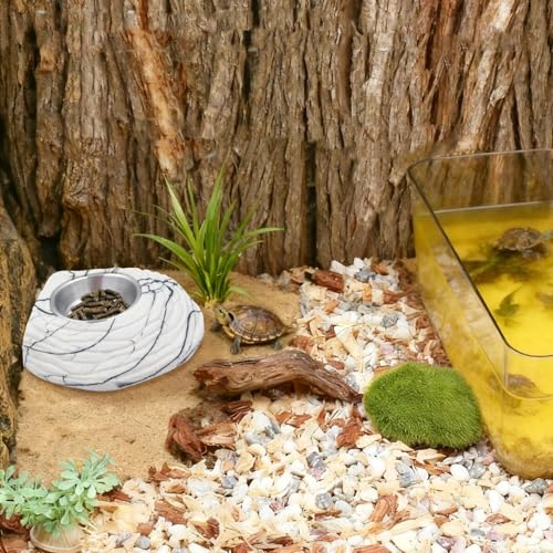 Bearded Dragon Tank Accessories, Resin Food & Water Bowl with Ramp, Reptile Water Dish, Habitat Tank Accessories for Bearded Dragon, Tortoise, Hermit Crab and Other Small Reptile
