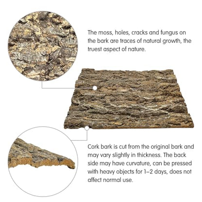 kathson 10PCS Cork Tile Background Bark 7.9”Lx7.9”W Reptile Tank Background Terrarium Backdrop Wall Decor Natural Reptile Climbing Mat for Spider Gecko Lizard Chameleon Bearded Dragon Turtle Snake