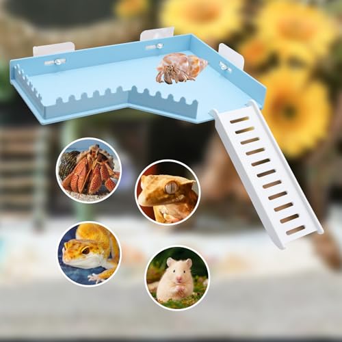 No-Drill Climbing Platform with Ramp, Hermit Crab Climbing Wall & Hideout, Multi-Level Platform with Ladder, No-Tools Mounting for Geckos, Small Lizards, Hamsters - color: Blue