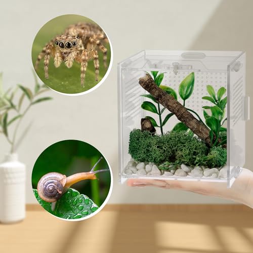 VERTUPET 4 Pack Jumping Spider Enclosure, 4''x4''x4'' Acrylic Arboreal Reptile Tank, 0.03” Ventilation Hole Habitat Transparent Enclosure Breeding Box with Locking Latch for Frog, Crickets, Snails