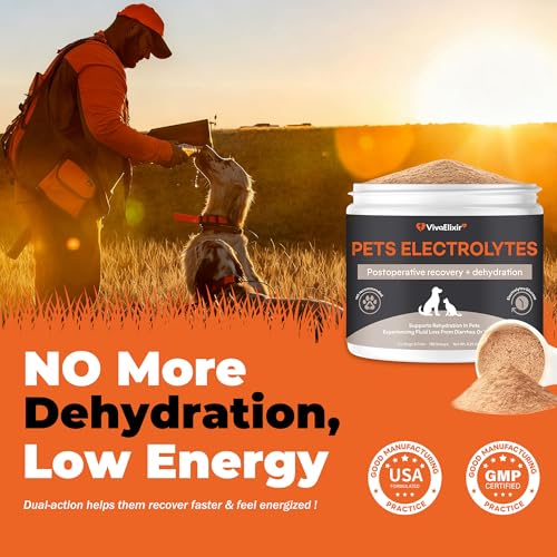 Electrolytes for Dogs – Vet-Formulated Hydration Supplement– Supports Post-Surgery & Illness Recovery– Helps Replenish Fluids & Electrolytes Lost from Diarrhea, Vomiting & Poor Appetite