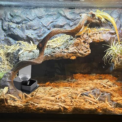 1 Pack Small Reptile Water Bowl Automatic Water Dispenser for Reptile Gecko Lizard Terrarium Bowl Feeder (Black)