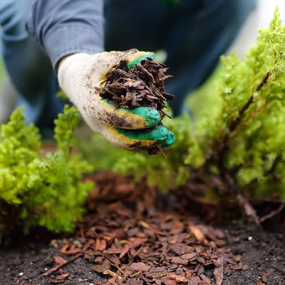 GARDENWISE Premium Brown Wood Mulch for Landscaping, Gardens, Lawns, Potting Media, and Potted Plants (0.3 CF - 8 L - 9 QTS) - color: Brown Wood Mulch, size: 0.3 CF - 8 L - 9 QTS