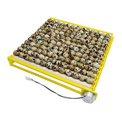 HBtree Automatic Multifunction Incubator Egg Tray Turning Hatcher for Chickens/Ducks/Birds/Poultry（13 Tubes） - color: 13 Tubes