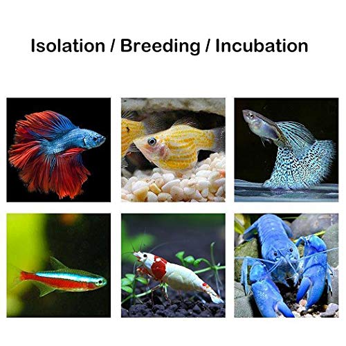 Mipukbay Aquarium Small Isolation Breeding Box, Acrylic Transparent Aquarium Breeder Box for Fish Fry Hatching, Shrimp Breeding, Betta, Guppy, Killifish, Clownfish, Suitable for Small Fish Tanks - size: Small
