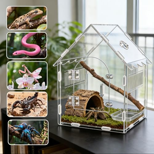 Acrylic Jumping Spider Enclosure, 8"x8"x12" Portable Tarantula Habitat with Ventilation, Clear Small Reptile Terrarium Tank for Pet Insects - size: 8 "x8" x12"