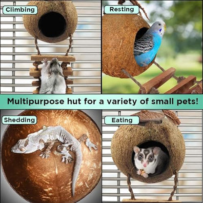 SunGrow Hermit Crab Coco Hut with Ladder, Hamster & Hermit Crab Hideout, Coconut Hide for Reptiles, Crab Cage Climbing Toys, Coconut Shell Mouse House, Habitat Tank Accessories, 5"