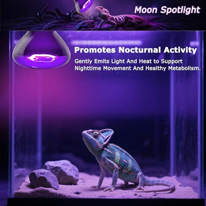 Reptile Moonlight Bulb 60W – Soft Purple Night Light for Nocturnal Viewing, Sleep-Friendly, 2000H Life, E26 Base - color: Purple Moonlight, size: 60W-2.5″