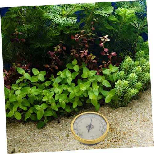Analog Round Hygrometer 72mm Gold Mechanical Humidity Meter 2% rh Resolution No Battery Needed for Reptile Terrarium Guitar Case Indoor Humidity Monitoring