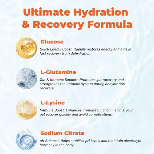 Electrolytes for Dogs – Vet-Formulated Hydration Supplement– Supports Post-Surgery & Illness Recovery– Helps Replenish Fluids & Electrolytes Lost from Diarrhea, Vomiting & Poor Appetite