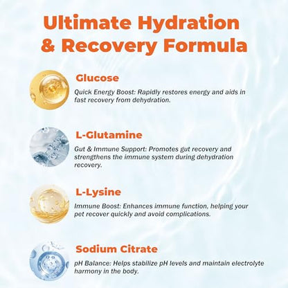 Electrolytes for Dogs – Vet-Formulated Hydration Supplement– Supports Post-Surgery & Illness Recovery– Helps Replenish Fluids & Electrolytes Lost from Diarrhea, Vomiting & Poor Appetite