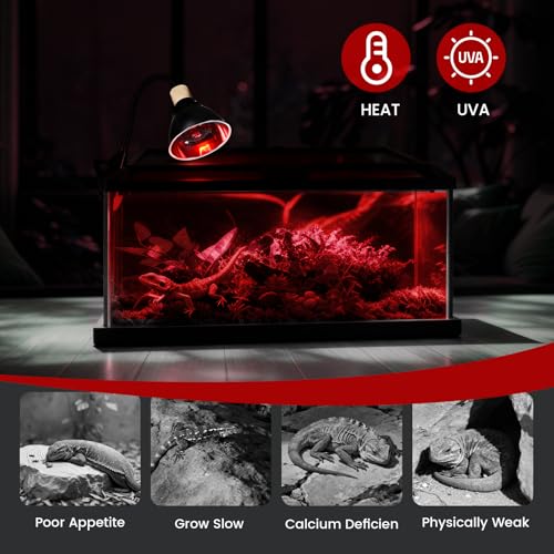 100W Infrared Heat Lamp Bulbs – 2-Pack Red IR Basking Light for Reptile & Amphibian, Silent Night-Time Heating, E26 Base, Bearded Dragon,Lizard,Turtle,Chicken - color: Red, size: 100W