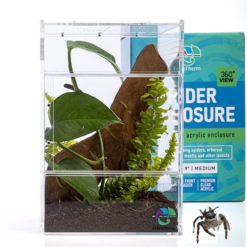 EctoTherm Jumping Spider Enclosure - for Habitat, Terrarium Kit and Arboreal Tarantula Enclosure - size: Medium