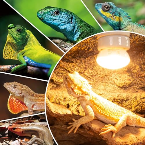 REPTI ZOO 25W Upgraded Nano Reptile Daylight Basking Spot Heat Lamp Bulb 2 Pack, UVA Full Spectrum Sun Light Daytime Heating Lamp for Reptile
