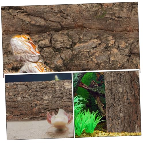 BESPORTBLE 3pcs Natural Reptile Bark Background Panels for Fish Tank and Terrarium Decor Cork Bark Material Safe Habitat for Lizards Snakes and Amphibians