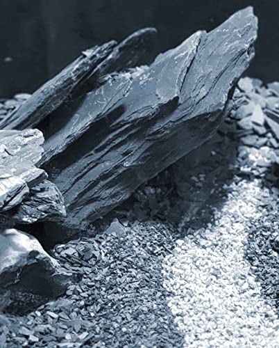 Natural Slate Stone 5 to 7 Inches - USA Sourced and Packaged for Aquascaping Aquariums, Terrariums, Paludariums, Reptile Enclosures, and Gardens (5lbs) - size: 5 lbs