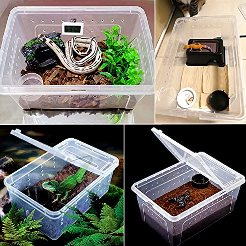 Hamiledyi 2PCS Reptile Feeding Box Snake Breeding Box Transparent Animal Habitat Cage and Reptile Plants Fake Amphibian Plants 2 Pcs Artificial Leaves for Snake, Lizard, Chameleon