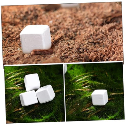 YARNOW 30pcs for Turtles Tortoises Frogs Lizards Chameleons Enhances Growth Stabilizes Water Quality Supports Health for Reptiles Amphibians