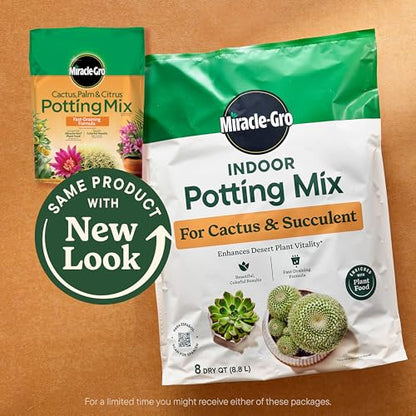 Miracle-Gro Indoor Potting Mix for Cactus and Succulent, Fast-Draining Cactus and Succulent Potting Mix with Plant Food, 8 qt. (2-Pack)