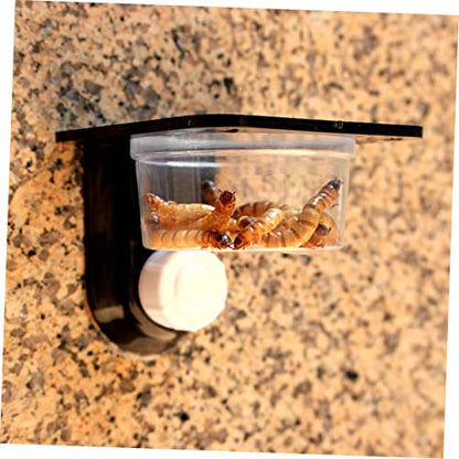 BESPORTBLE 10pcs Tortoise Habitat Accessories Reptile Bowl Solid Material Food Water Bowl for Tortoise Lizard Easy to Clean Suction Cup Style