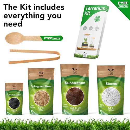Terrarium Kit, Succulents & Indoor Plants Set DIY | Starter Pack for Any Plant – Build Your Own Ecosystem – Supplies for 64 fl oz Jar or Pot – (Jar & Plants Not Included)