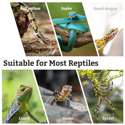 VCEPJH Snake Climbing Branch, 2Pcs Reptile Wood Natural Cork Log Tank Accessories Tree Trunk for Chameleon Bearded Dragon Gecko Snake Frog Spider(11.8 inches) - size: Grape Wood (S:11.8"-2pcs)