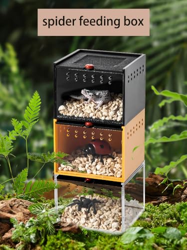 Black Acrylic Spider Feeding Box, Small Insect Breeding Enclosure, Semi-Concealed Cage with Sliding Web Lid, Hand-Held Observation Terrarium for Small Reptiles, Jumping Spiders Enclosure and Scorpions