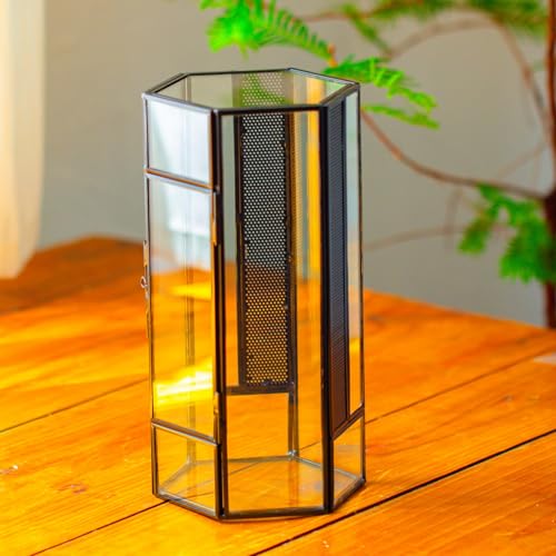NCYP Small Glass Enclosure Terrarium with Mesh and Door for Spiders - Hexagon Shape Small Mantis Vented Glass Terrarium 4.9'' x 4.3'' x 9.4'', Tabletop Decor, Black (Plants Not Include) - size: 4.9'' x 4.3'' x 9.4''
